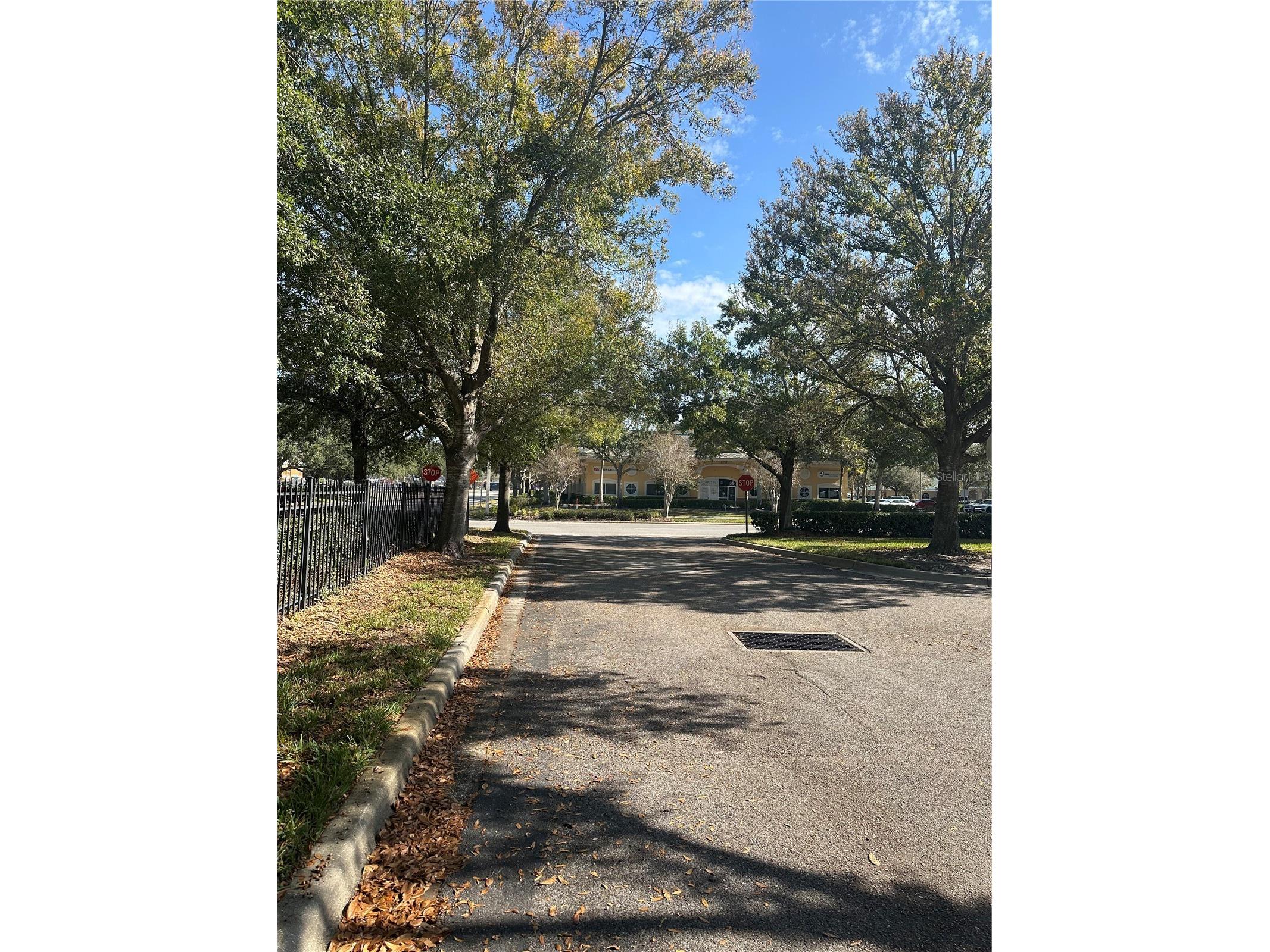 8810 Commodity Circle #1 Orlando FL 32819 O6375195 image31