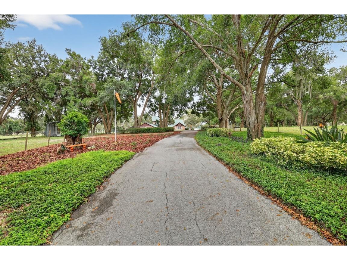 8810 County Road 561 Clermont FL 34711 - LAKE GARY & LAKE NELLIE G5103575 image10