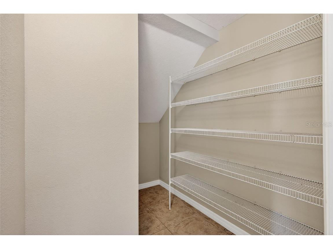 8810 Moonlit Meadows Loop Riverview FL 33578 TB8448848 image13