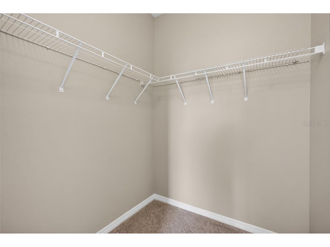 8810 Moonlit Meadows Loop Riverview FL 33578 TB8448848 image21