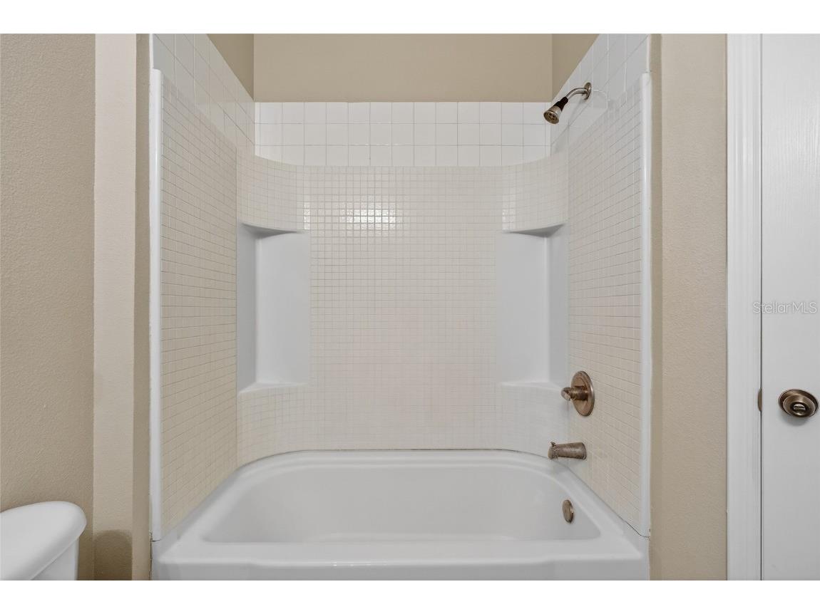 8810 Moonlit Meadows Loop Riverview FL 33578 TB8448848 image27