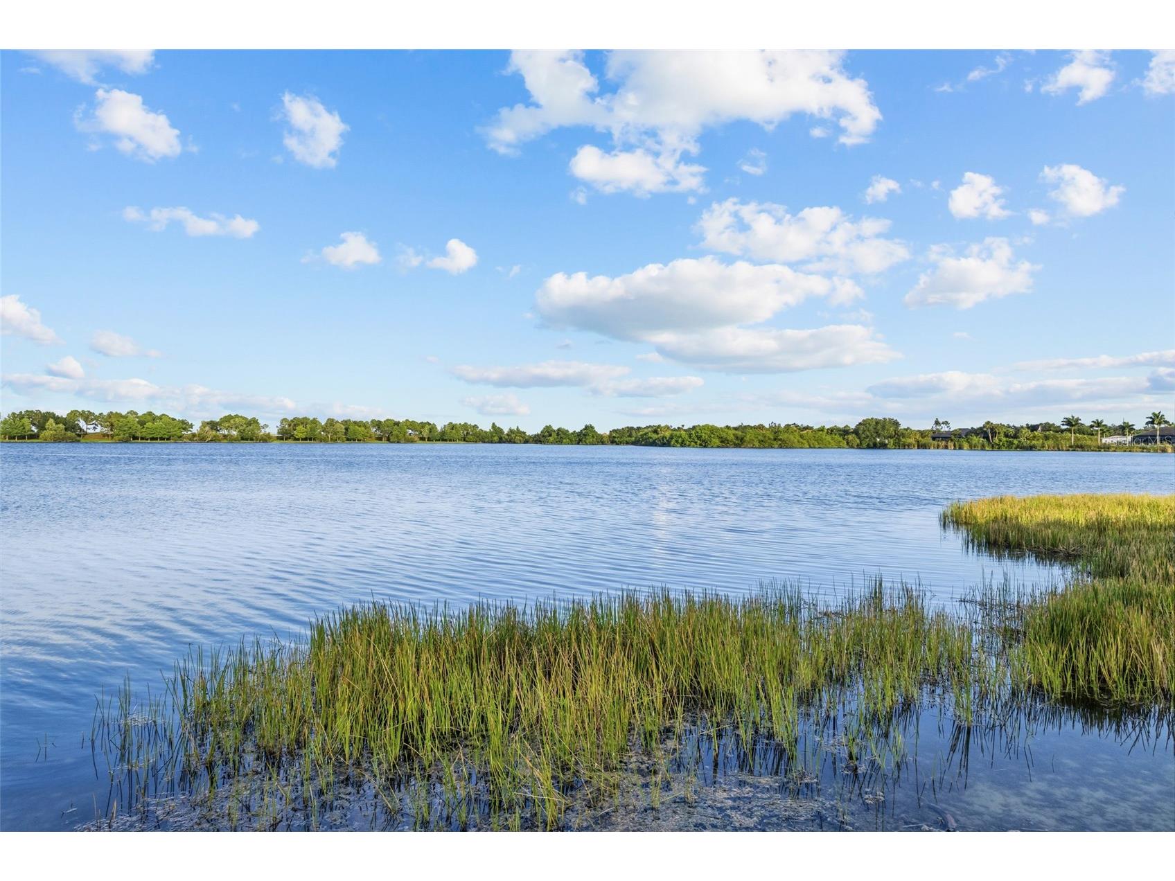 8810 Tuscany Isles Drive Punta Gorda FL 33950 - TUSCANY ISLES COMMUNITY LAKE A4697480 image47