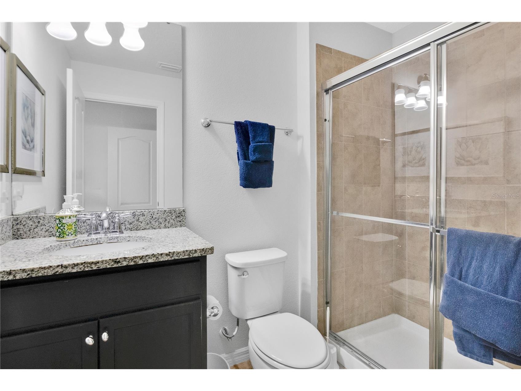 8811 Geneve Court Kissimmee FL 34747 S5146973 image19