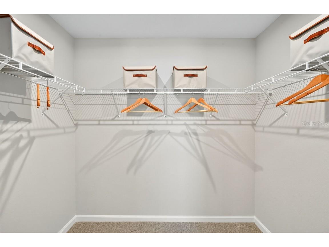 8811 Ginko Run Parrish FL 34219 TB8458166 image19