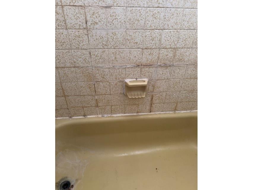 8811 Goshen Lane Port Richey FL 34668 W7885530 image24