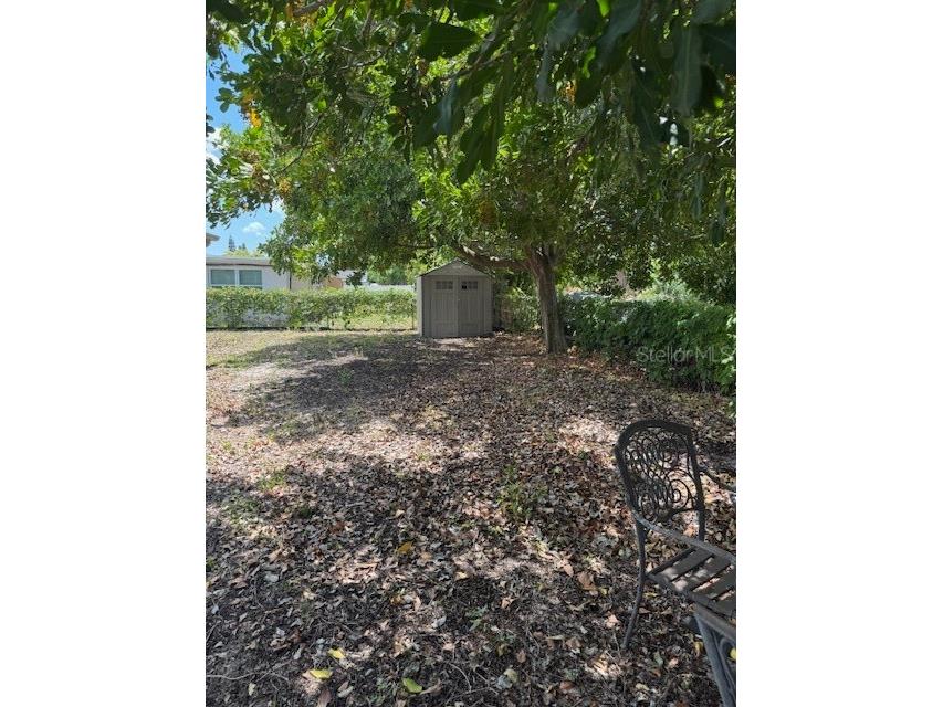 8811 Goshen Lane Port Richey FL 34668 W7885530 image33