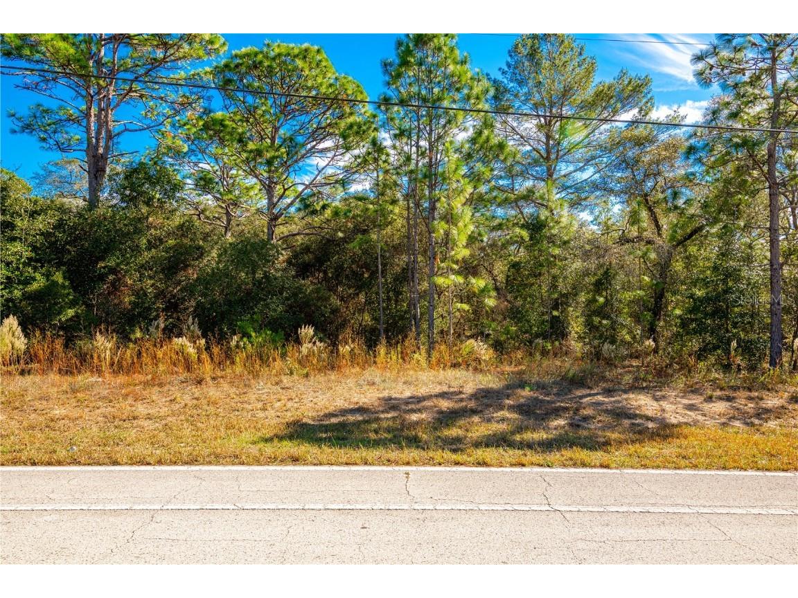 8811 N Citrus Springs Boulevard Citrus Springs FL 34433 T3419058 image1