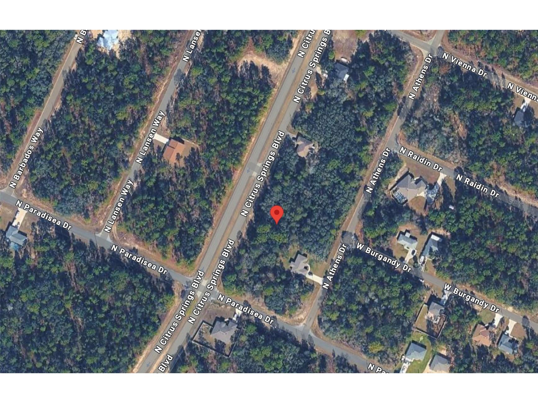 8811 N Citrus Springs Boulevard Citrus Springs FL 34433 O6389200 image1