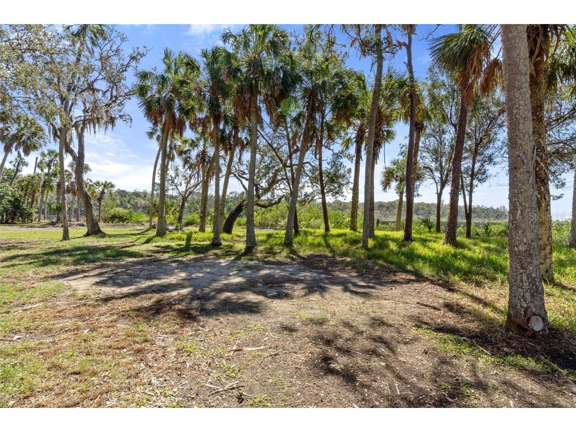 8812 Camp Lane Hudson FL 34667 - GULF OF MEXICO & W7869101 image10