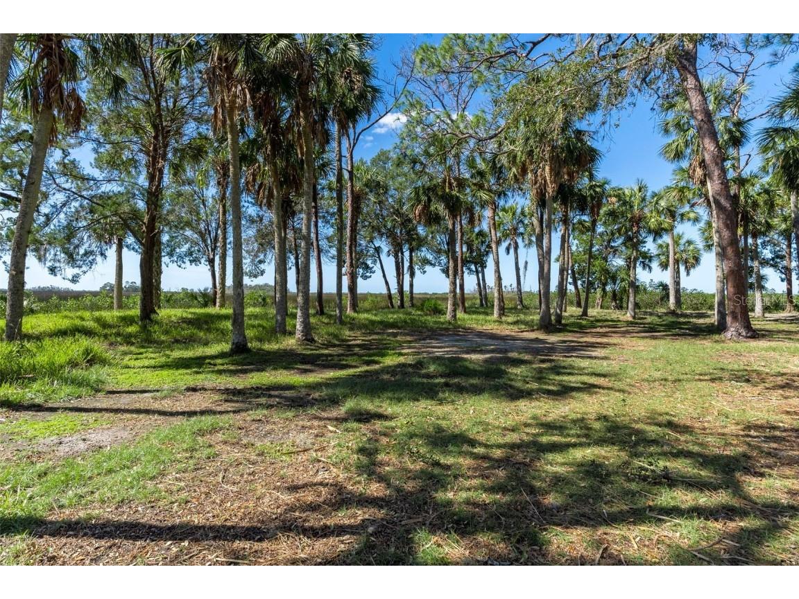 8812 Camp Lane Hudson FL 34667 - GULF OF MEXICO & W7869101 image9