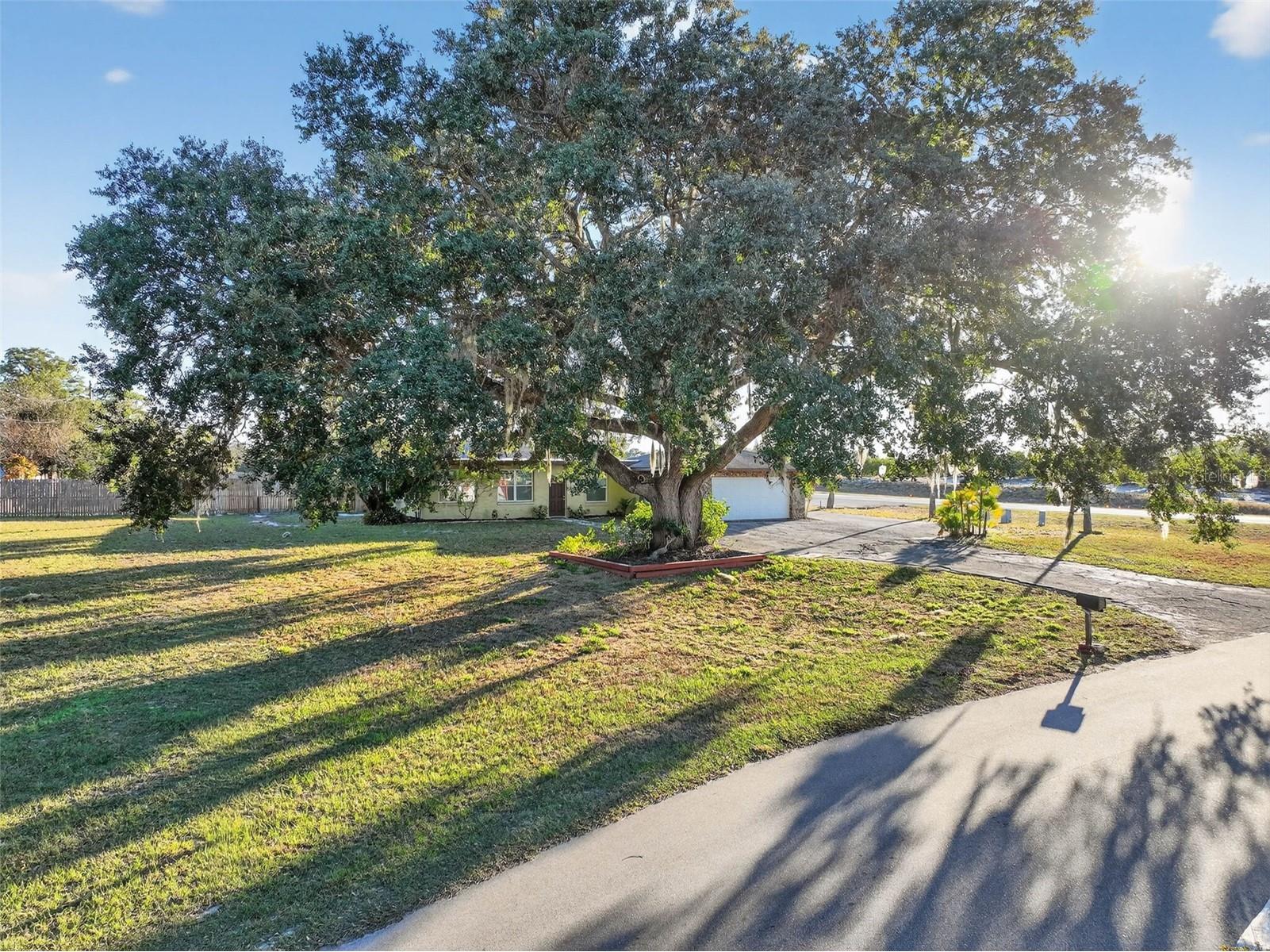 8812 Oakwood Drive Lake Wales FL 33898 O6401172 image51