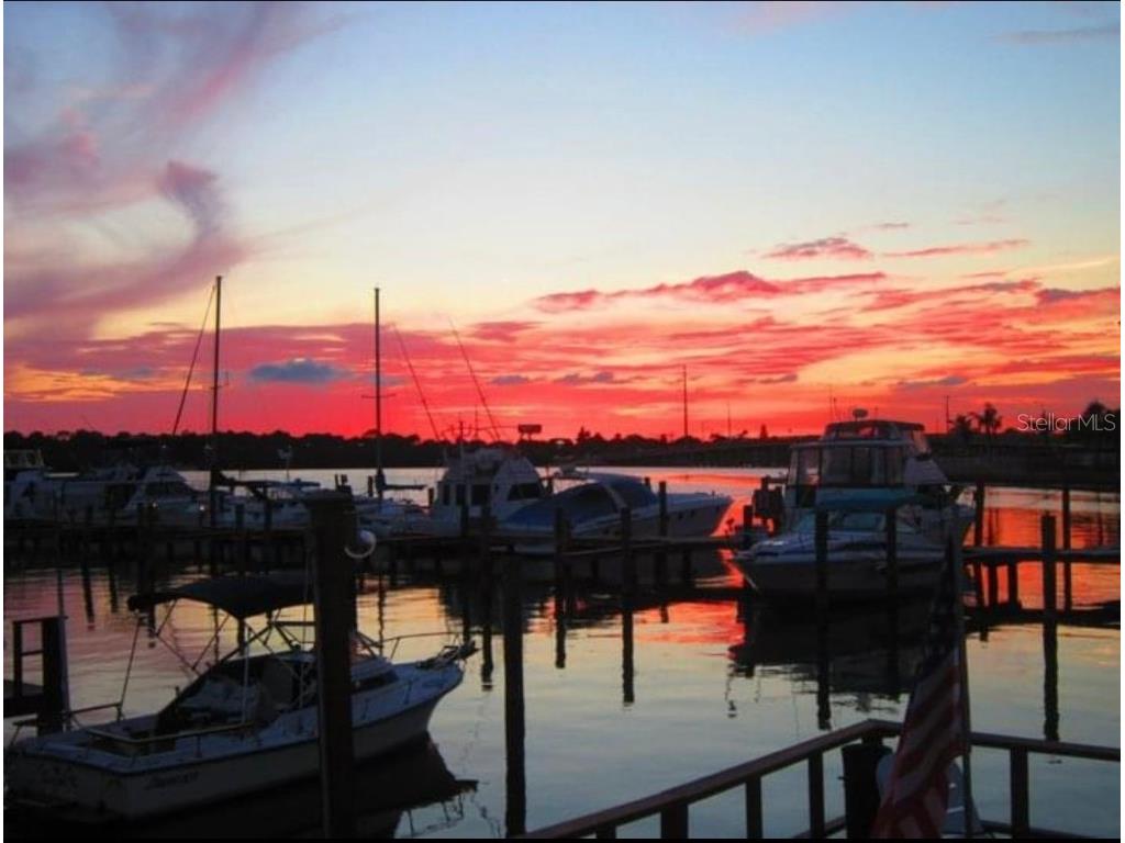 8813 44th Avenue N #114 Saint Petersburg FL 33709 U8240952 image1