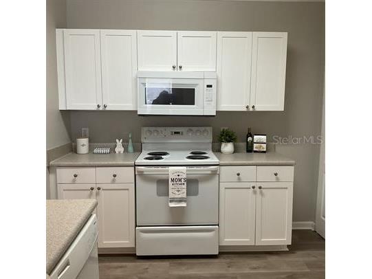 8813 Villa View Circle #204 Orlando FL 32821 O6406899 image2