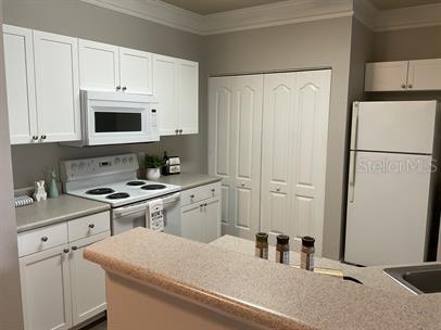 8813 Villa View Circle #204 Orlando FL 32821 O6406899 image4