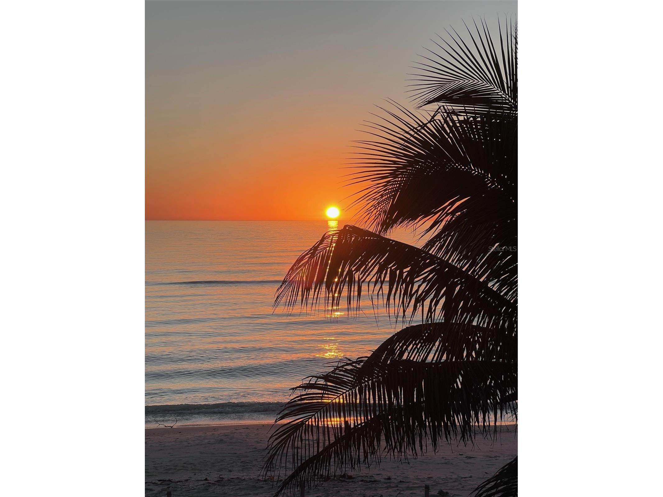 8814 Grand Avenue Placida FL 33946 - GULF OF AMERICA D6145697 image57