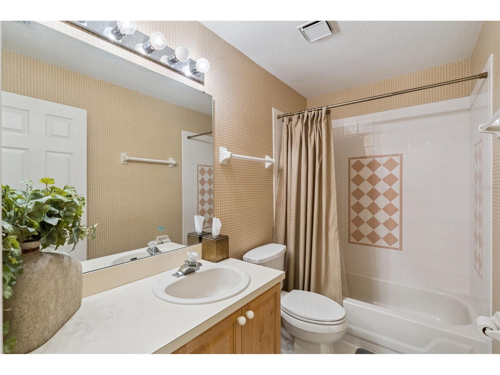 8814 Phillips Bay Drive Orlando FL 32836 O6414258 image28