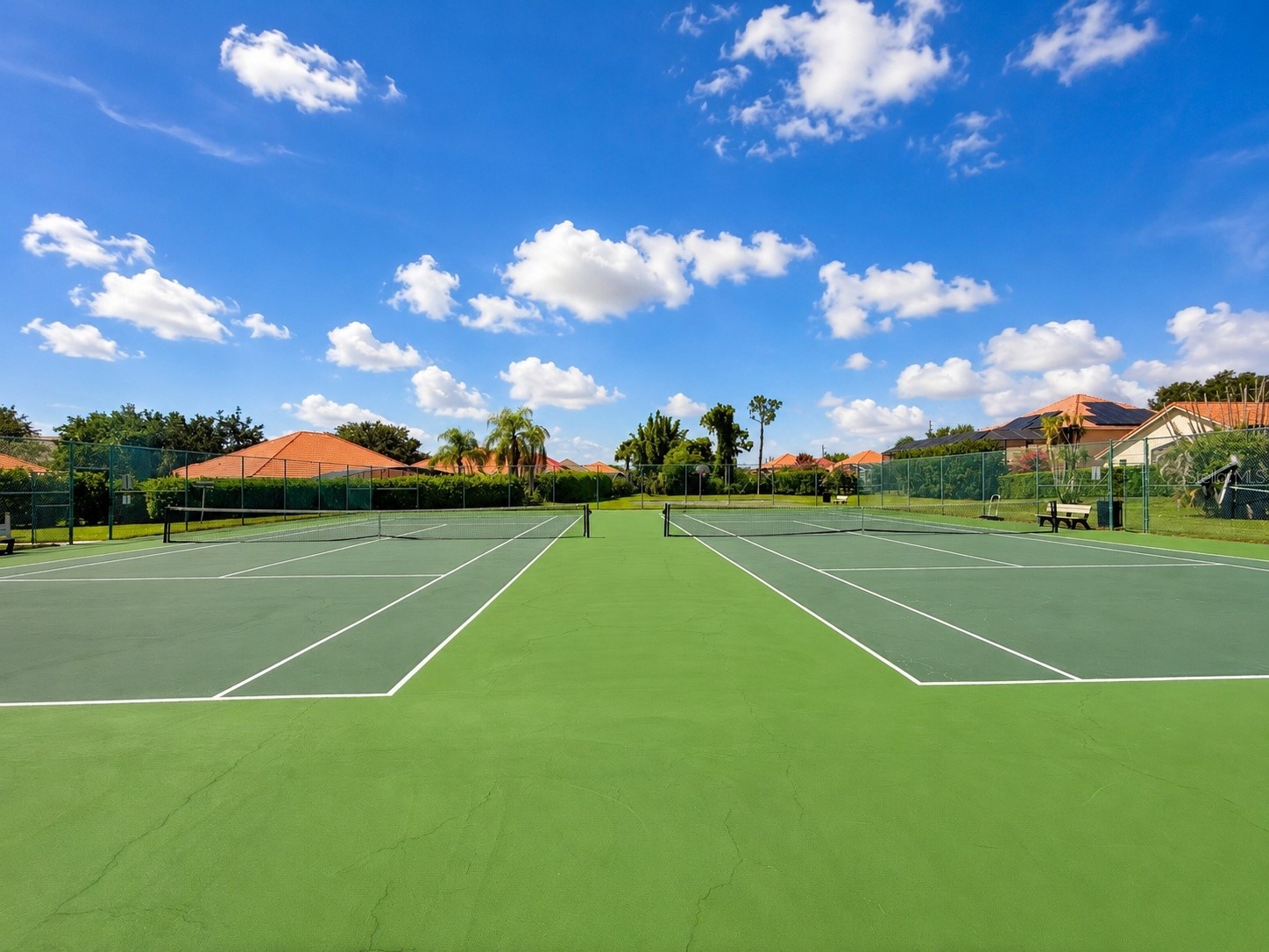 8814 Phillips Bay Drive Orlando FL 32836 O6414258 image39
