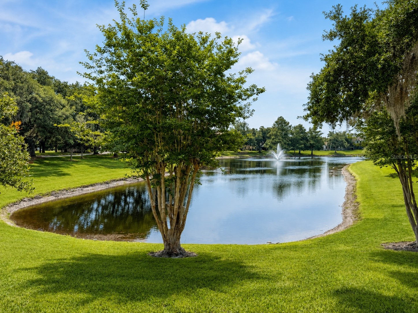 8814 Phillips Bay Drive Orlando FL 32836 O6414258 image4