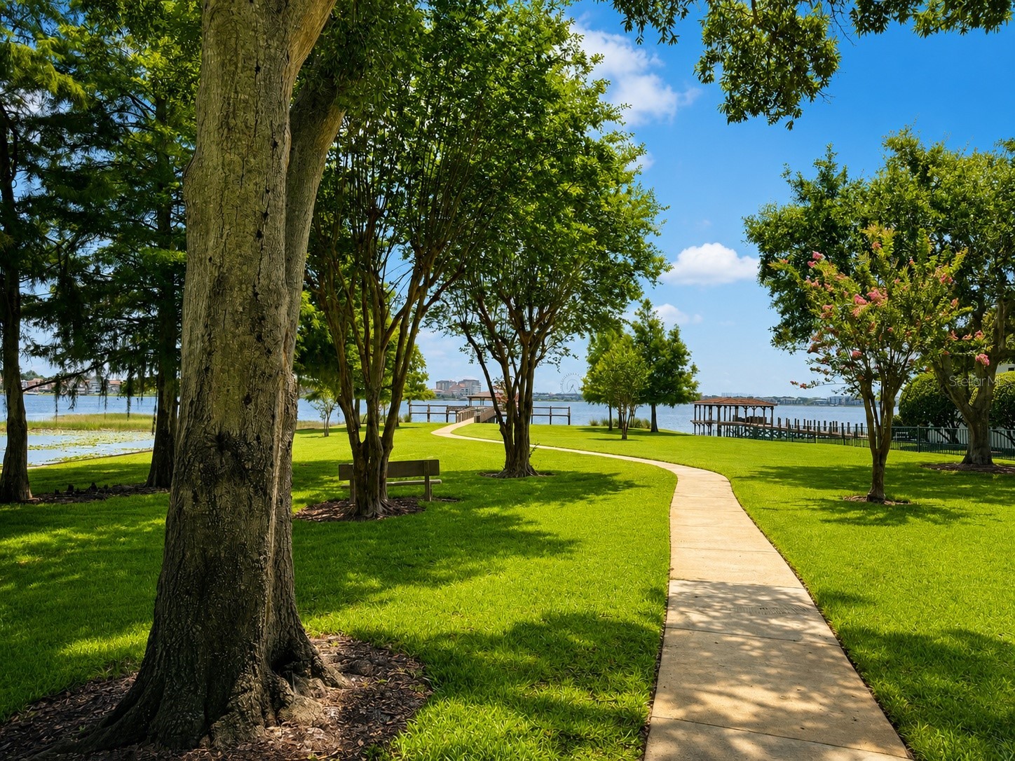 8814 Phillips Bay Drive Orlando FL 32836 O6414258 image43