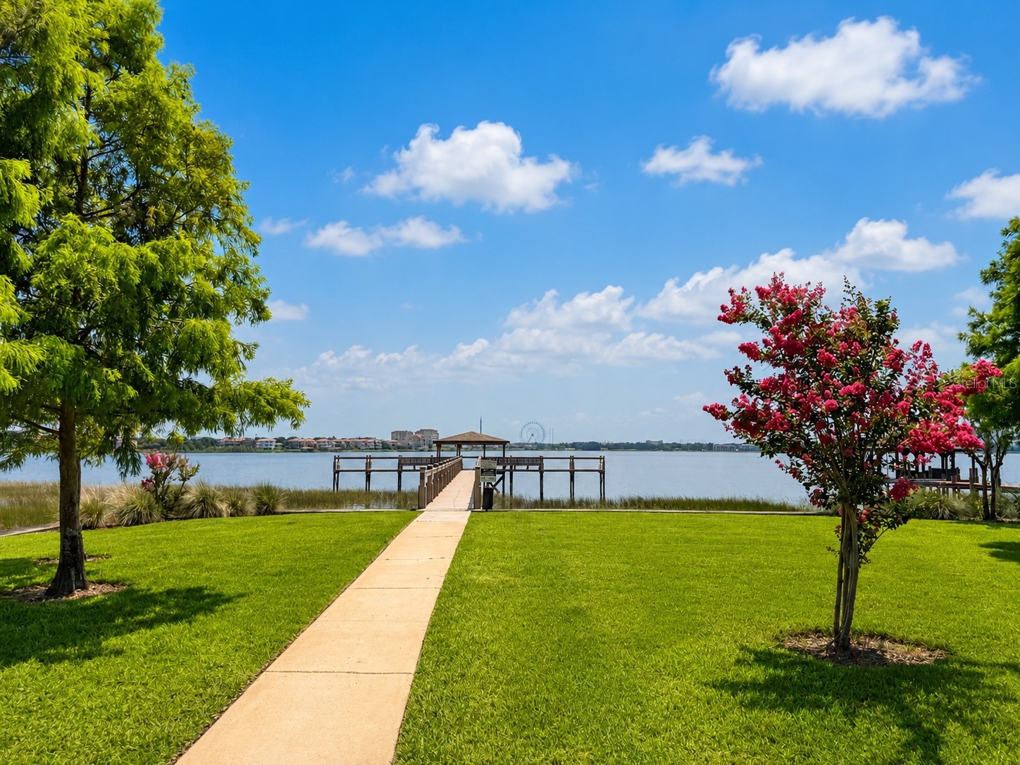 8814 Phillips Bay Drive Orlando FL 32836 O6414258 image44