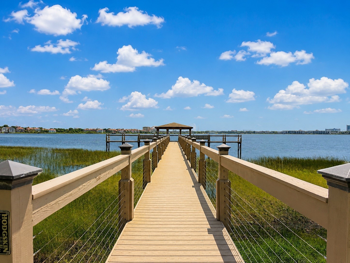 8814 Phillips Bay Drive Orlando FL 32836 O6414258 image45