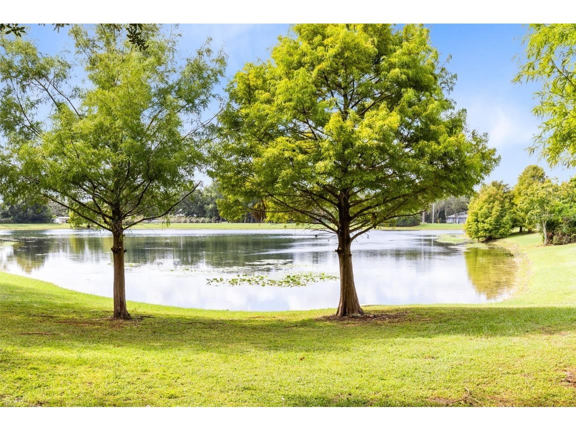 8815 Atwater Loop Oviedo FL 32765 O6351215 image29