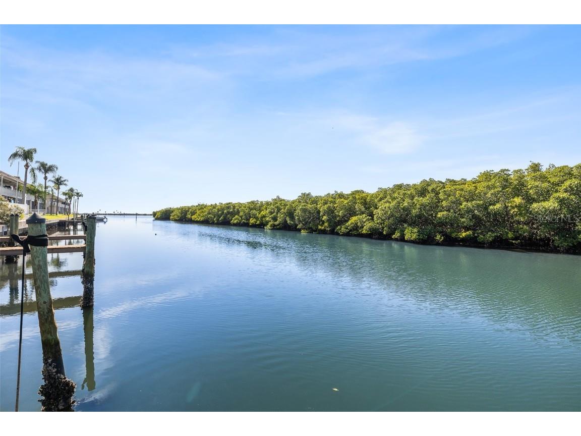 8815 Bay Pointe Drive #106 Tampa FL 33615 - WOODS CREEK TB8450766 image28