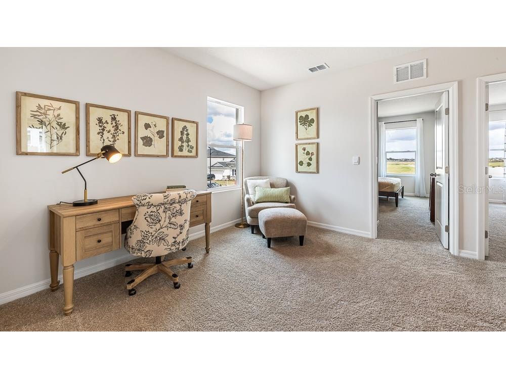 8816 Clear View Street Parrish FL 34219 A4684875 image10