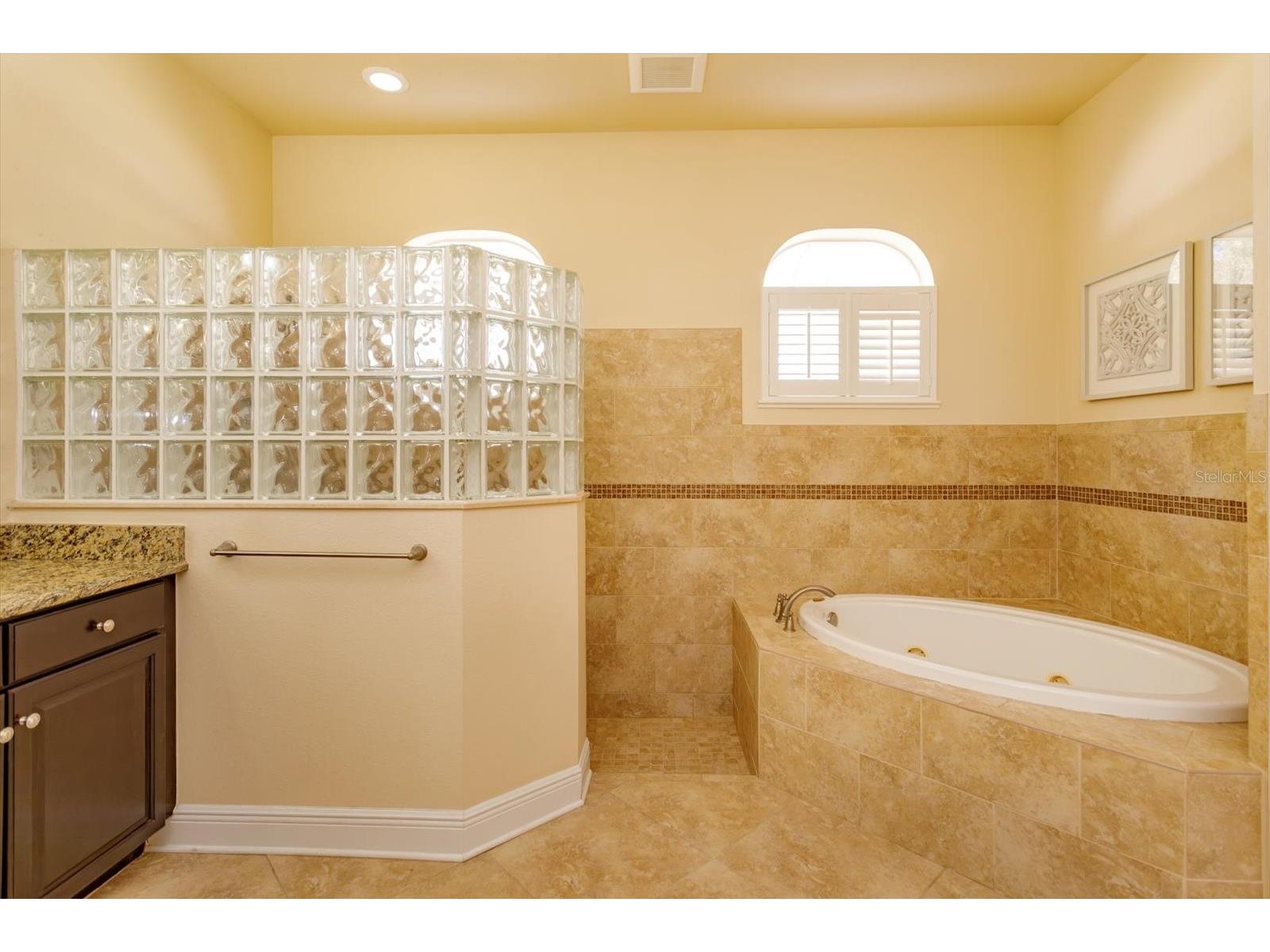 8816 Great Cove Drive Orlando FL 32819 O6387841 image19