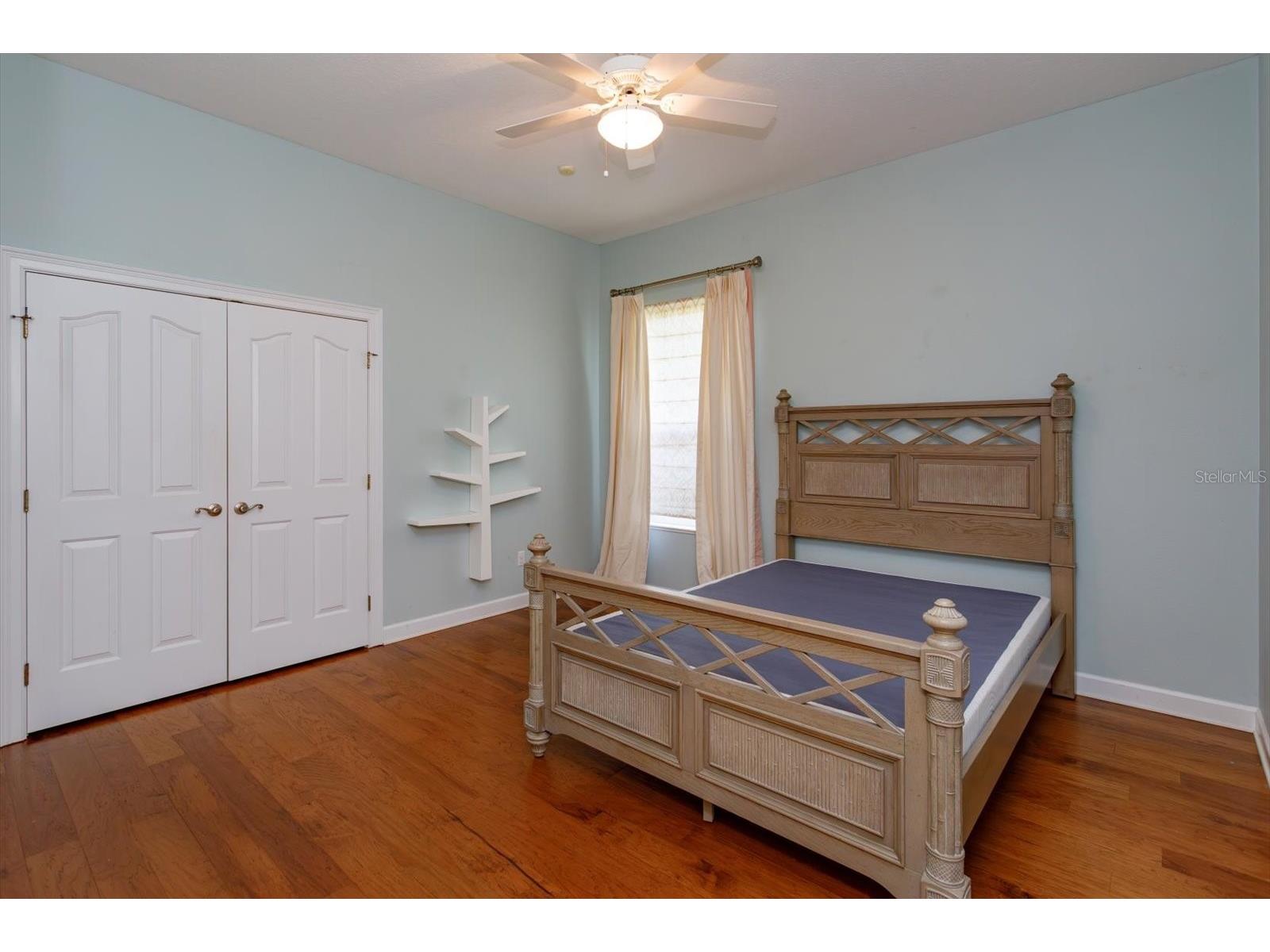 8816 Great Cove Drive Orlando FL 32819 O6387841 image28