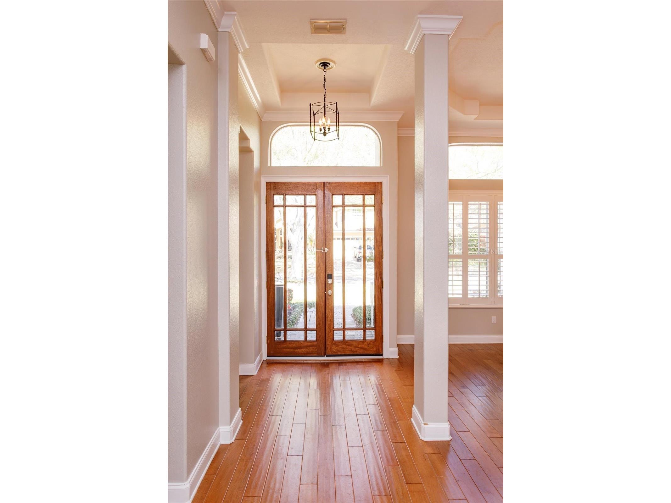 8816 Great Cove Drive Orlando FL 32819 O6387841 image3