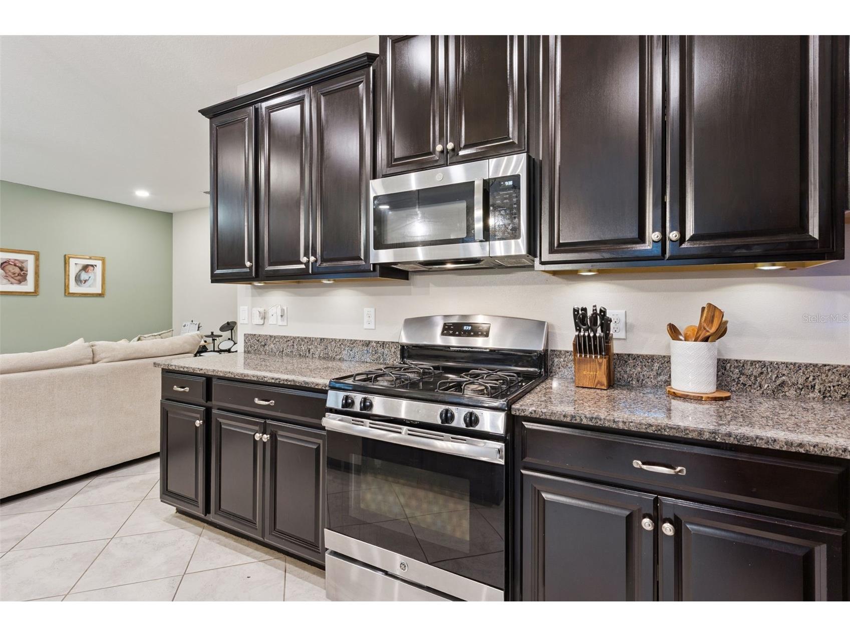 8816 Shady Pavillion Court Land O Lakes FL 34637 G5107201 image13