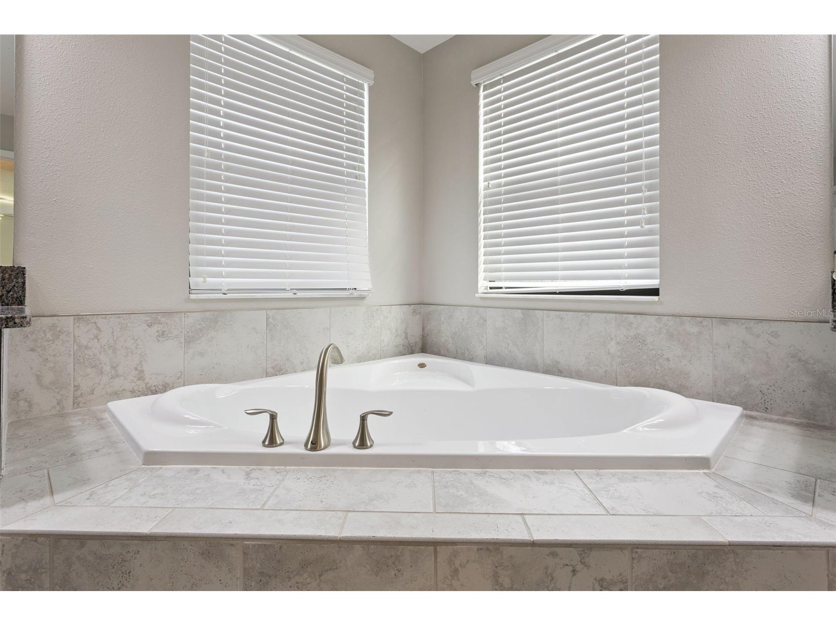 8816 Shady Pavillion Court Land O Lakes FL 34637 G5107201 image35