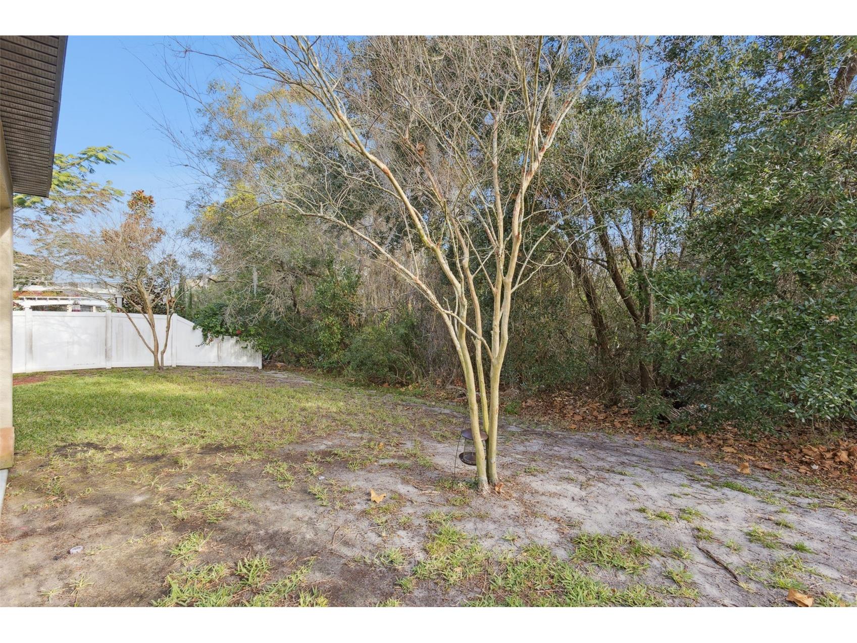 8816 Shady Pavillion Court Land O Lakes FL 34637 G5107201 image46