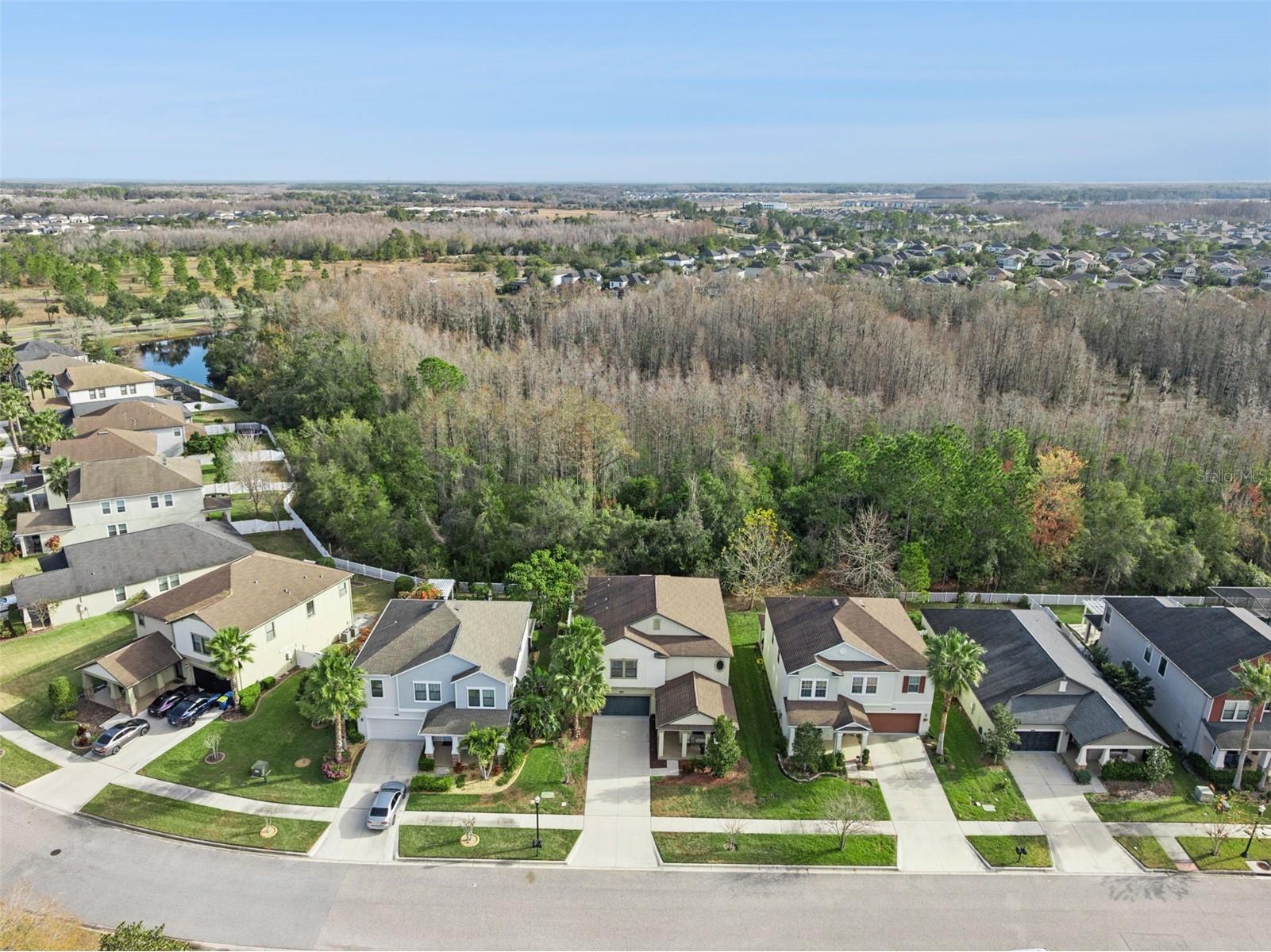 8816 Shady Pavillion Court Land O Lakes FL 34637 G5107201 image49