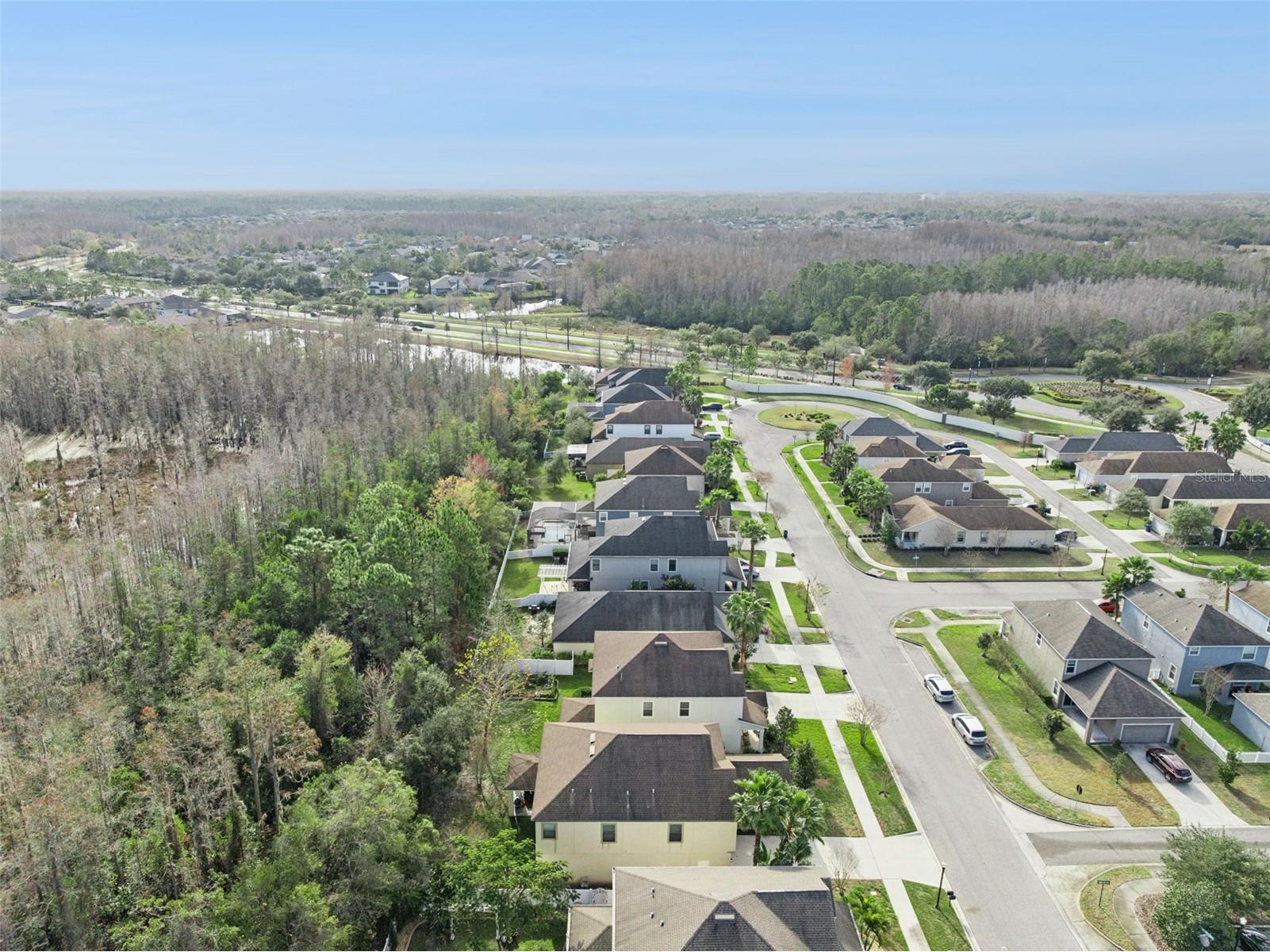 8816 Shady Pavillion Court Land O Lakes FL 34637 G5107201 image51