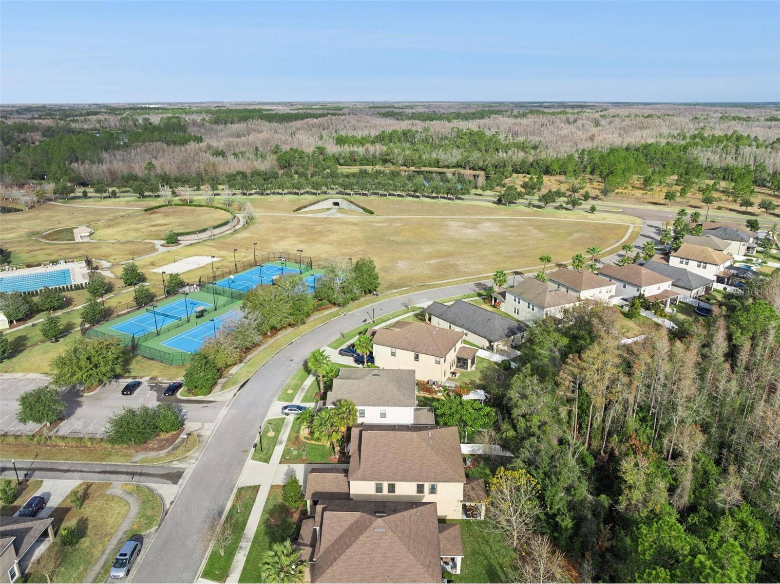 8816 Shady Pavillion Court Land O Lakes FL 34637 G5107201 image54