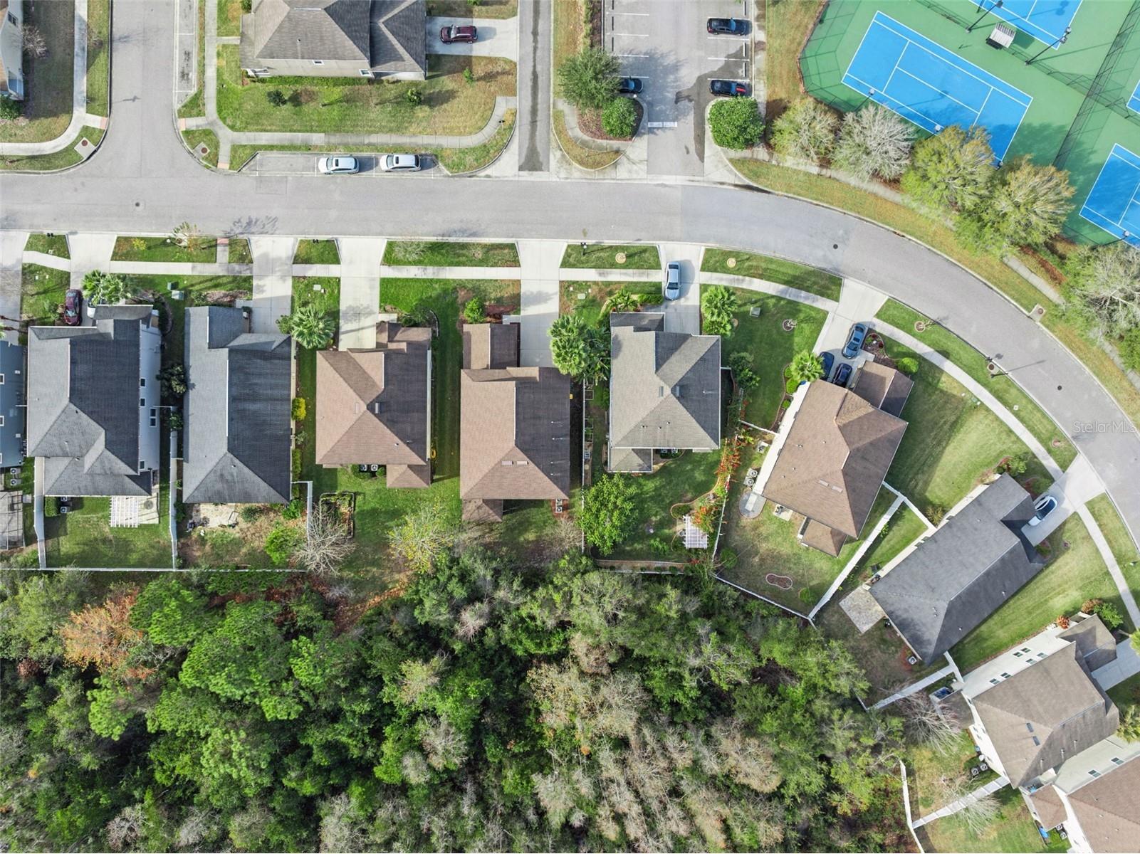 8816 Shady Pavillion Court Land O Lakes FL 34637 G5107201 image56