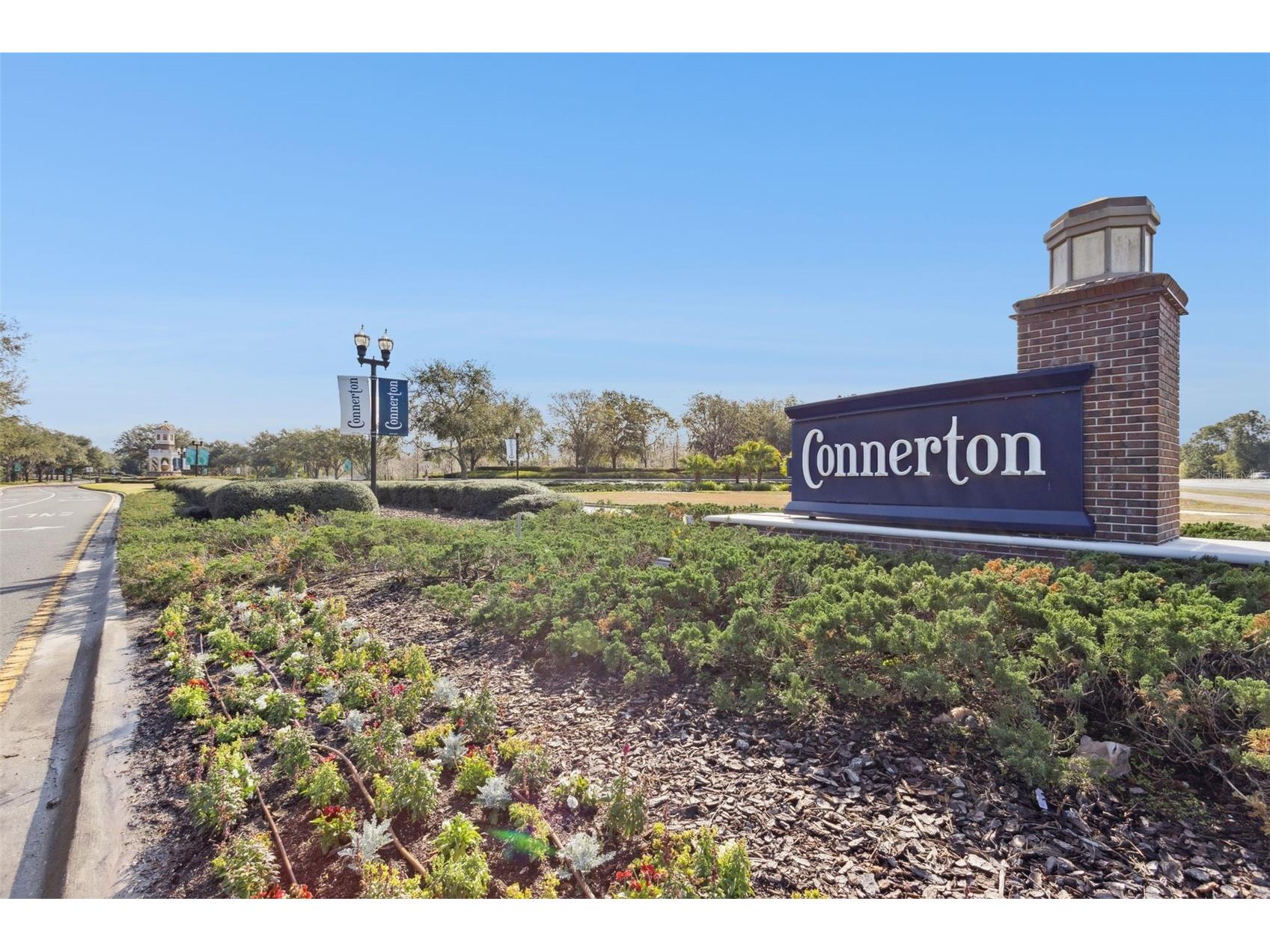 8816 Shady Pavillion Court Land O Lakes FL 34637 G5107201 image58