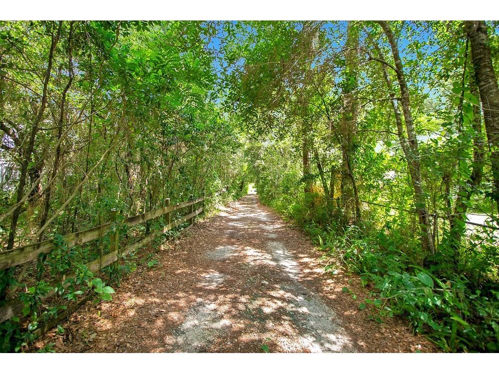 8816 Trevarthon Road Orlando FL 32817 - LITTLE ECONLOCKHATCHEE RIVER O6306218 image1
