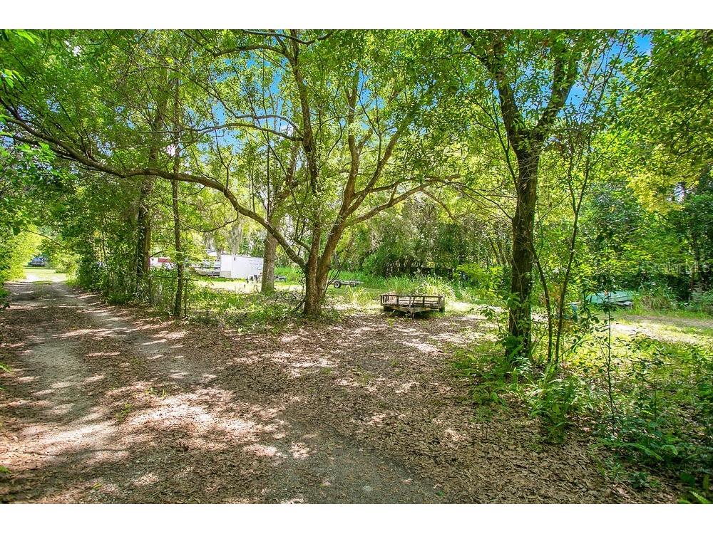 8816 Trevarthon Road Orlando FL 32817 - LITTLE ECONLOCKHATCHEE RIVER O6306218 image2