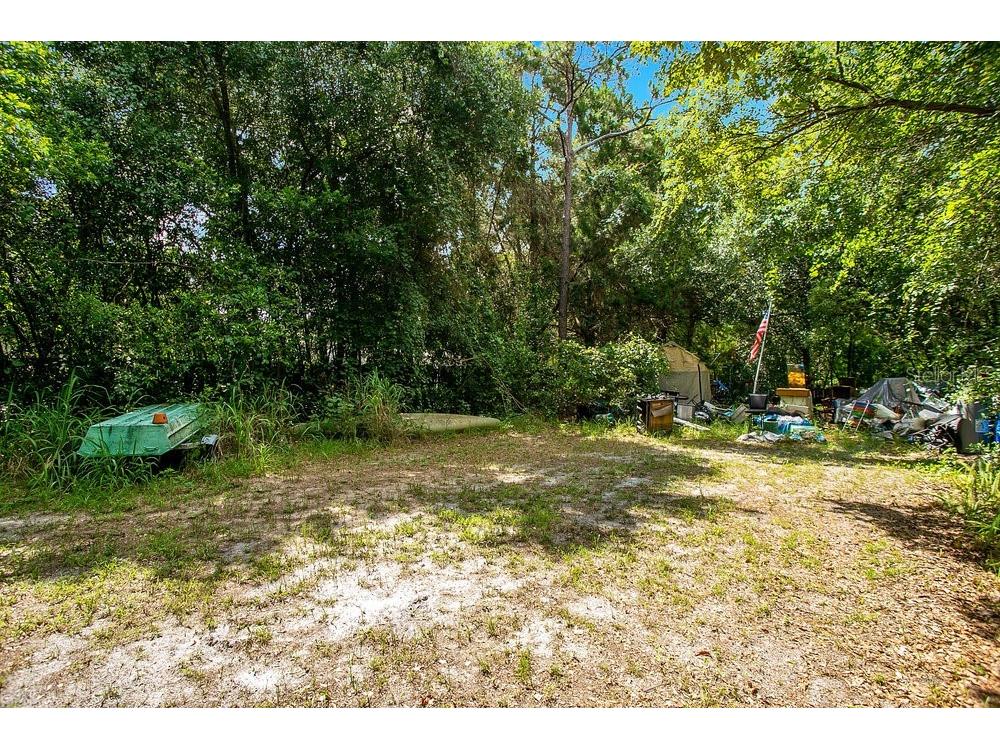 8816 Trevarthon Road Orlando FL 32817 - LITTLE ECONLOCKHATCHEE RIVER O6306218 image3