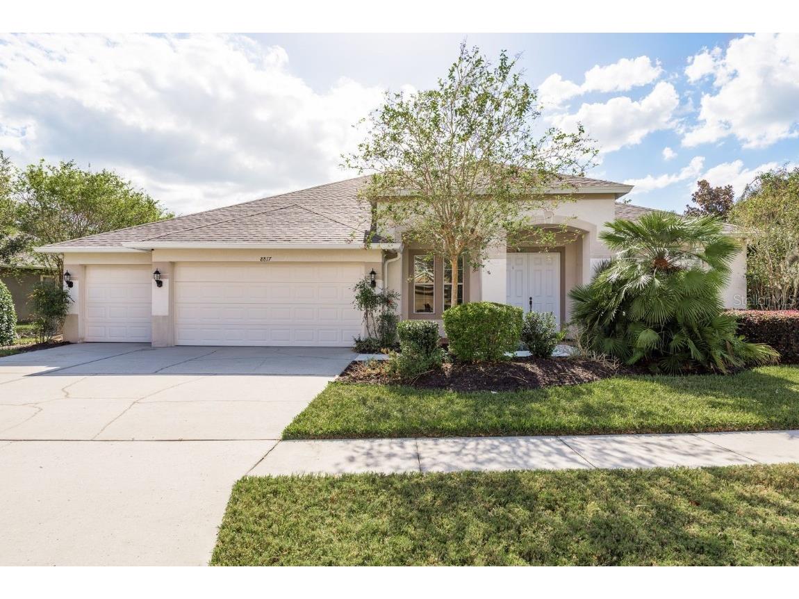8817 Crystal Creek Court Land O Lakes FL 34638 TB8315455 image1