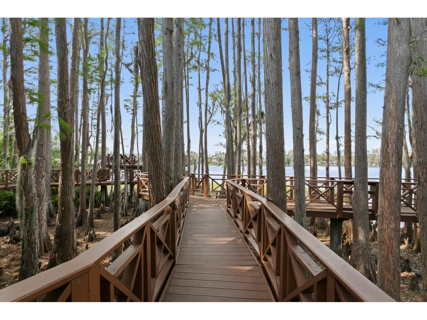 8817 Roberts Road Odessa FL 33556 - LAKE KEYSTONE TB8506353 image6
