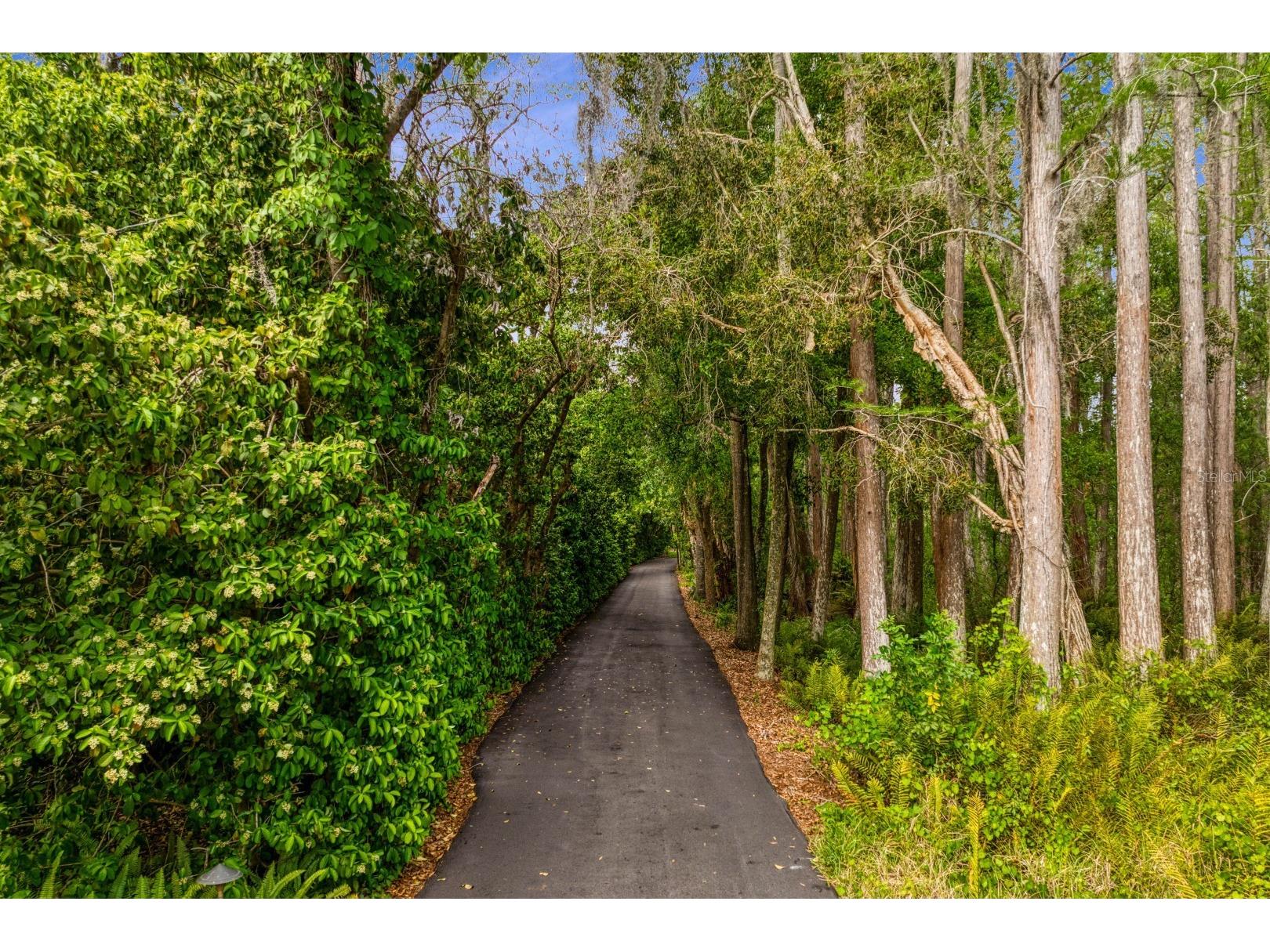 8817 Roberts Road Odessa FL 33556 - LAKE KEYSTONE TB8506353 image92