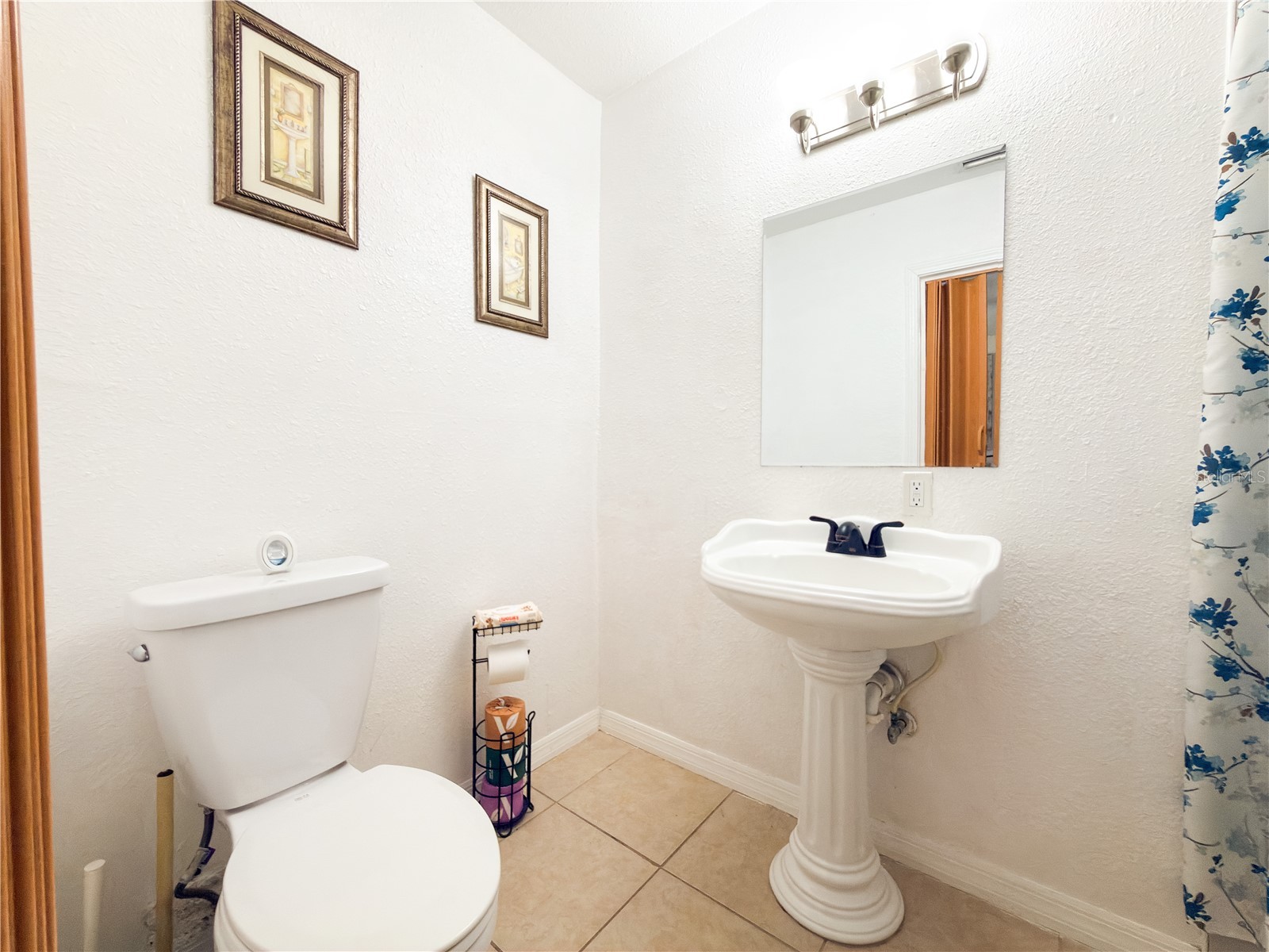 8818 Mathog Road Riverview FL 33578 TB8494385 image39