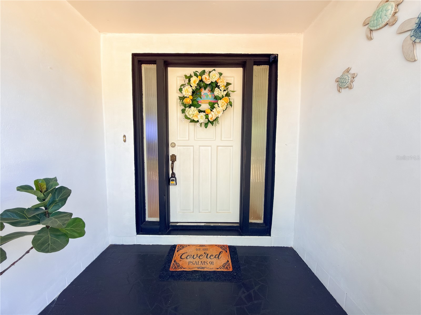 8818 Mathog Road Riverview FL 33578 TB8494385 image4