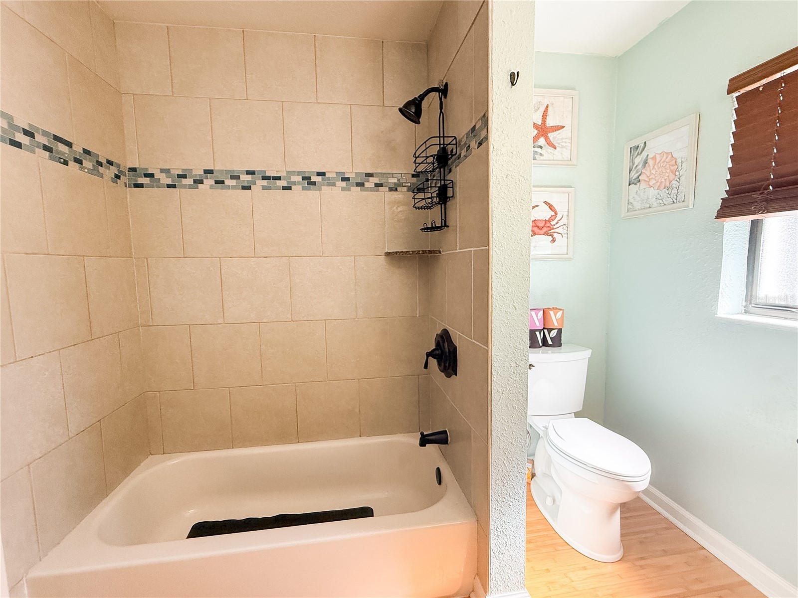 8818 Mathog Road Riverview FL 33578 TB8494385 image45