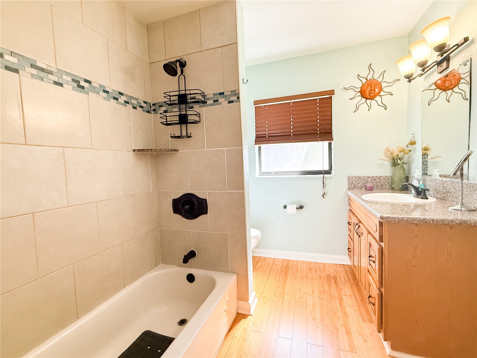 8818 Mathog Road Riverview FL 33578 TB8494385 image46