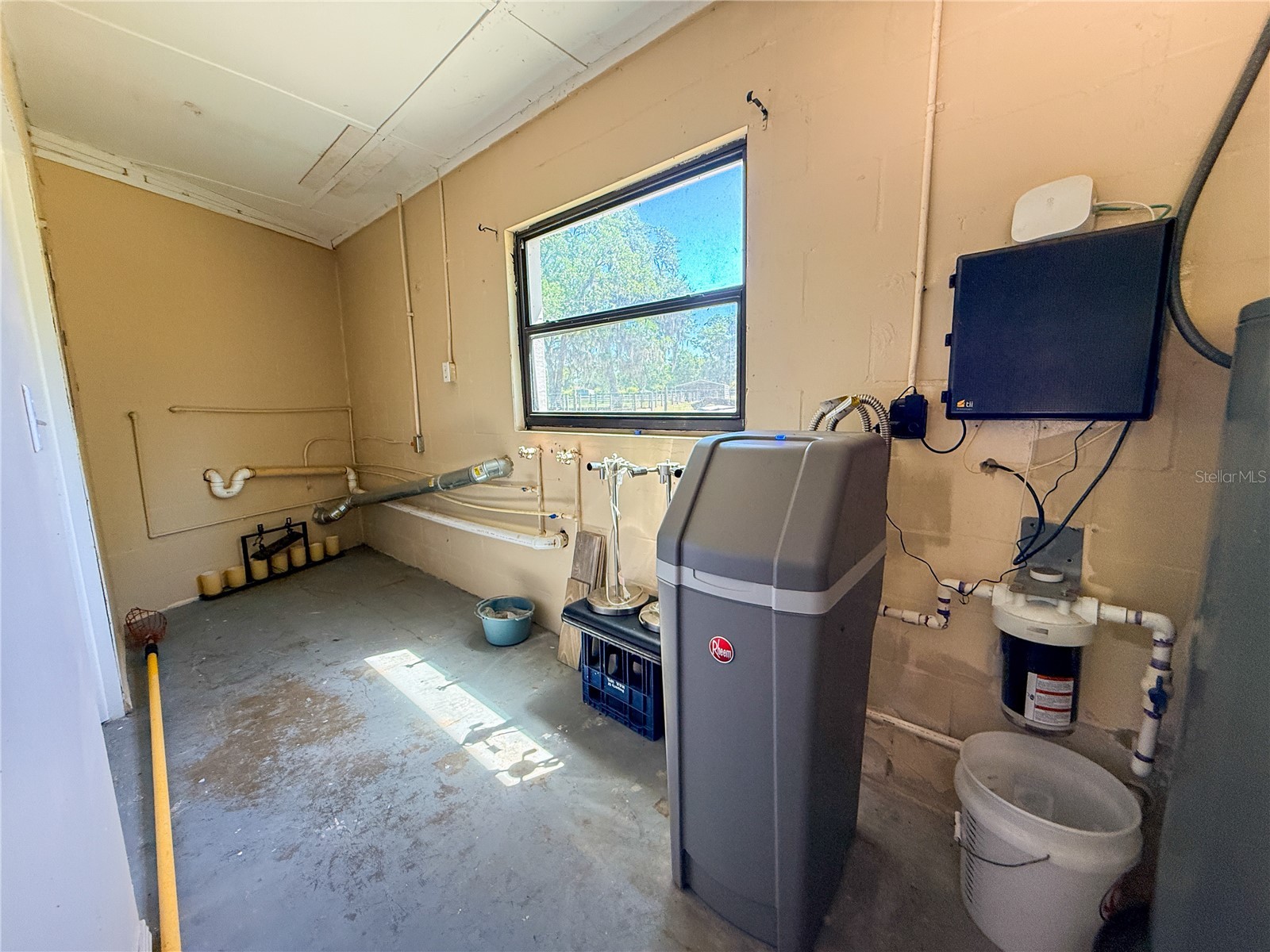 8818 Mathog Road Riverview FL 33578 TB8494385 image51